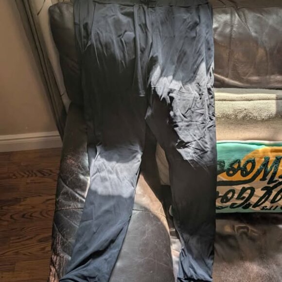 Arro Dog Hair Proof Joggers - Picture 4 of 5